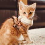 Processed with VSCO with q7 preset