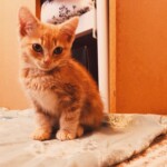 Processed with VSCO with u4 preset