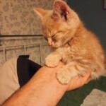 Processed with VSCO with q7 preset