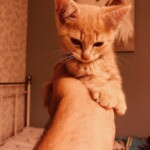 Processed with VSCO with g9 preset