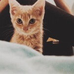 Processed with VSCO with m5 preset