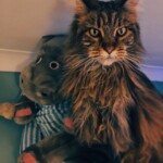 Processed with VSCO with e3 preset