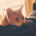 Processed with VSCO with p8 preset