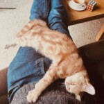 Processed with VSCO with ka1 preset