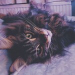 Processed with VSCO with f2 preset