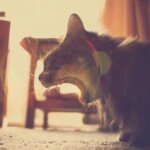 Processed with VSCO with p2 preset