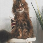 Processed with VSCO with 5 preset