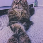 Processed with VSCO with f1 preset