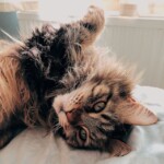 Processed with VSCO with e1 preset