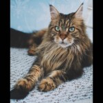 Processed with VSCO with a8 preset