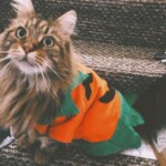 Processed with VSCO with av8 preset