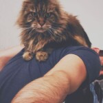 Processed with VSCO with 5 preset